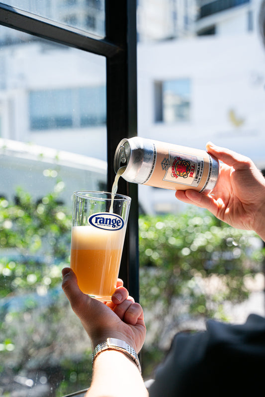 Wrapped: Mechanical Bull - DIPA