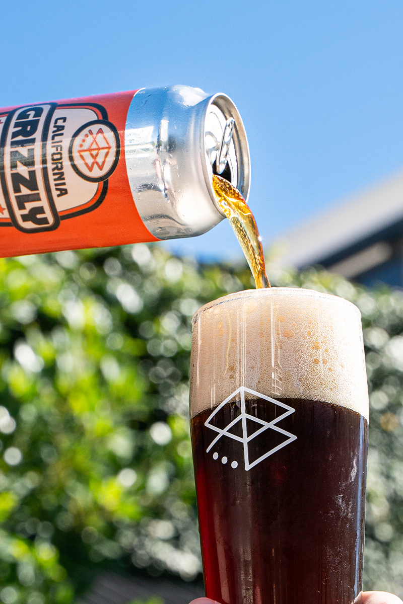 California Grizzly - American Brown Ale