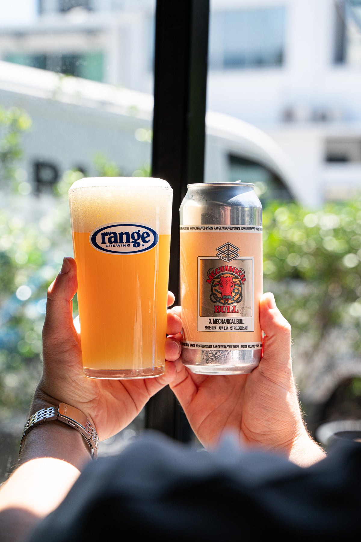 Wrapped: Mechanical Bull - DIPA