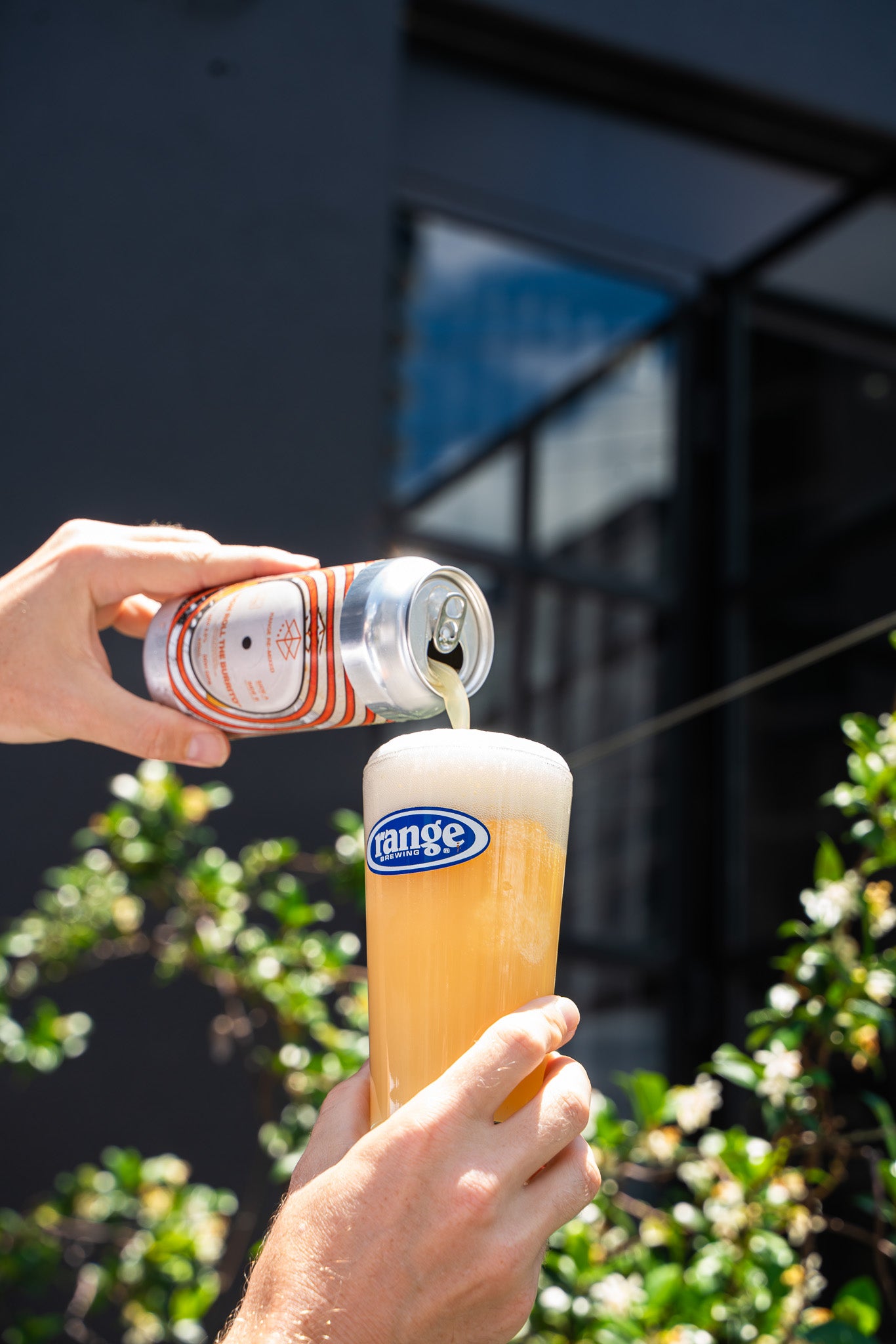 DDH Roll the Burrito - DDH DIPA